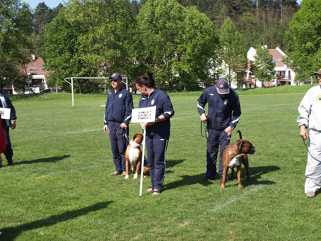www.atibox.net * www.euroboxer.eu * www.boxergenealogia.eu